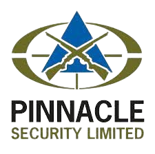 Pinnacle_Sec-removebg-preview